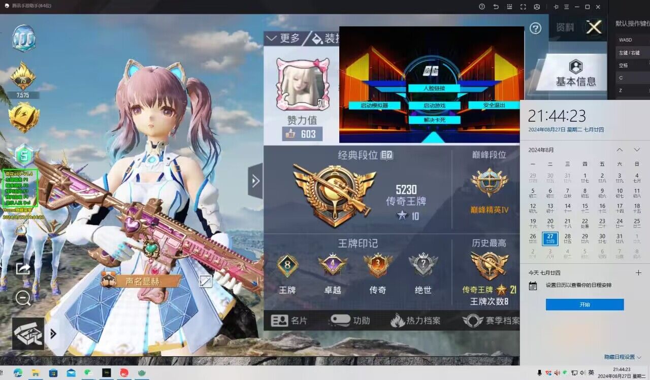 和平精英枪法辅助怎么开（和平精英辅助瞄准该怎么开）