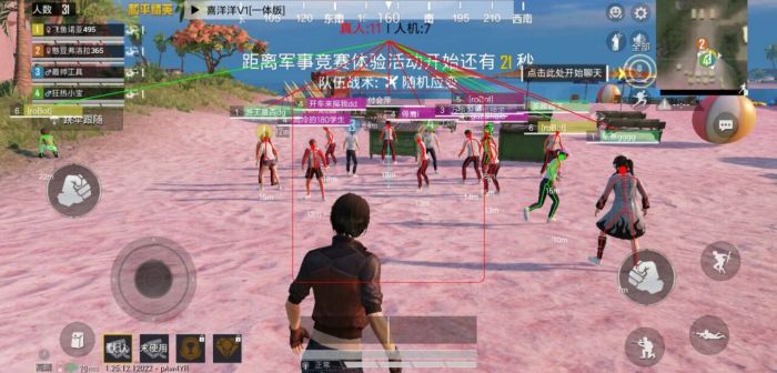 在和平精英怎么才能开外挂（在和平精英中怎么才能开外挂）